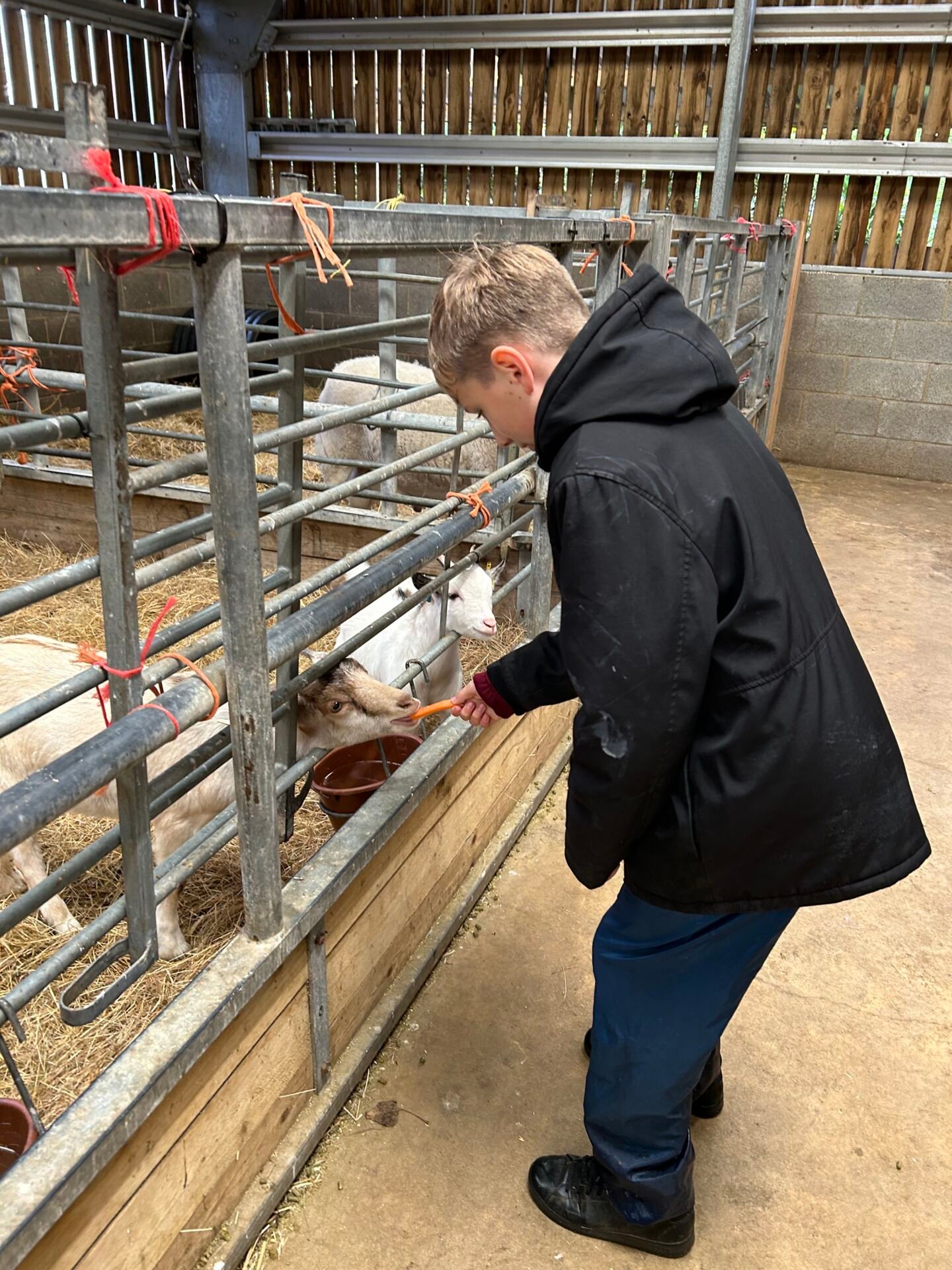 Henry Scragg visit and farm trip to Barleylands