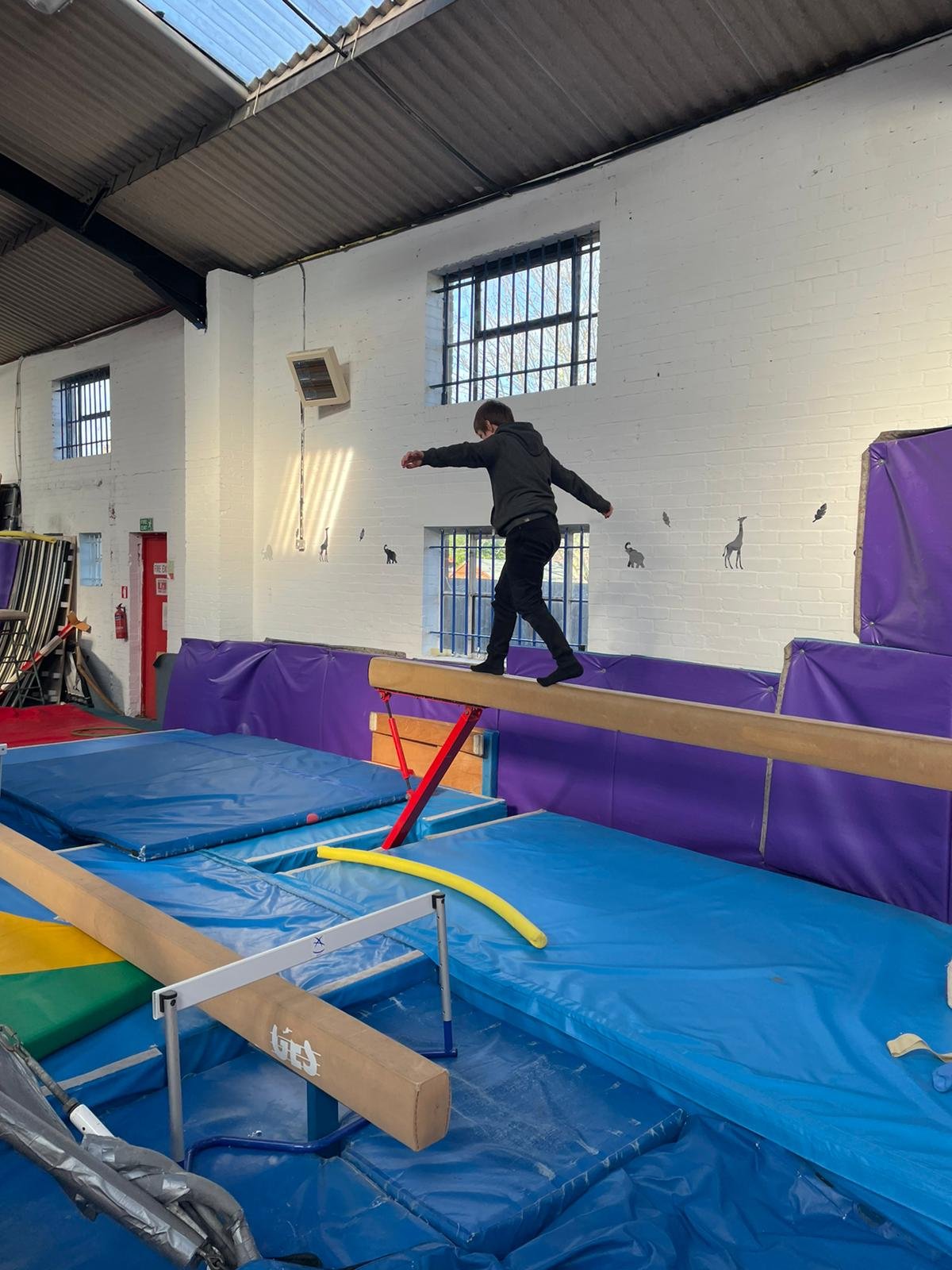 Gymnastics at the TT Club in Braintree