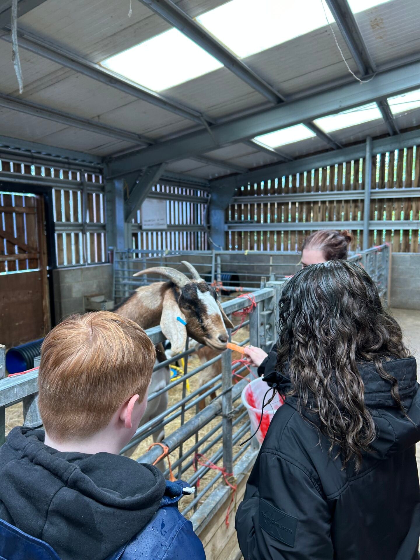 Henry Scragg visit and farm trip to Barleylands